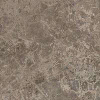 VICTORY TAUPE RET 60x60